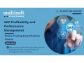 sap-profitability-and-performance-management-online-training-small-0