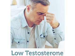 Enhance Your Testosterone Level Androxal Helps Restore Normal Testicular Function