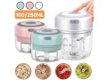 electric-garlic-chopper-vegetable-chili-meat-ginger-masher-machine-small-0