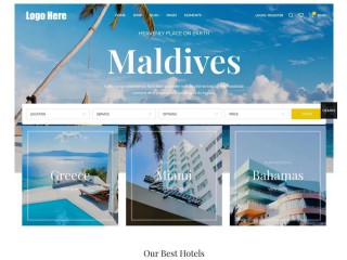 Travel Agency Website Design Development
