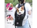 pet-dog-carrier-bag-portable-outdoor-dog-carrier-backpack-small-0